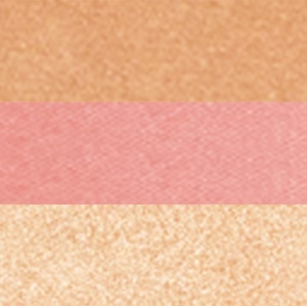 Womens Brown Leather Backpacks